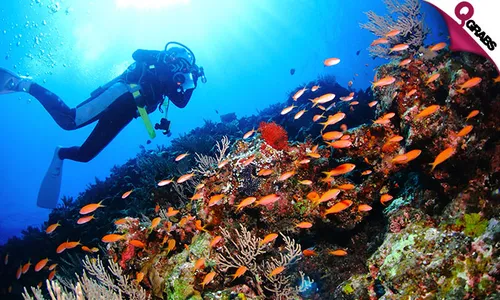 Scuba Diving Trial Session at Sealine OR Hilton Doha Hotel!